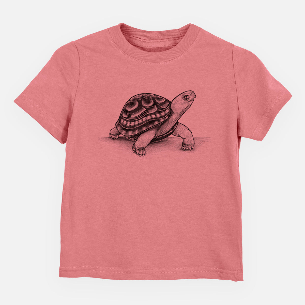 Common Box Turtle - Terrapene carolina - Toddler/Youth Shirt