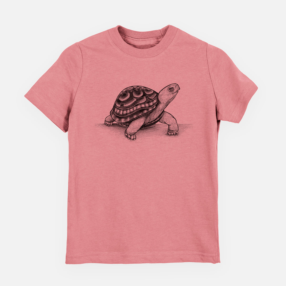 Common Box Turtle - Terrapene carolina - Toddler/Youth Shirt