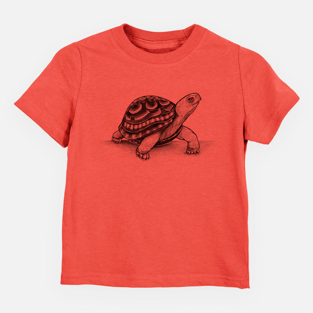 Common Box Turtle - Terrapene carolina - Toddler/Youth Shirt