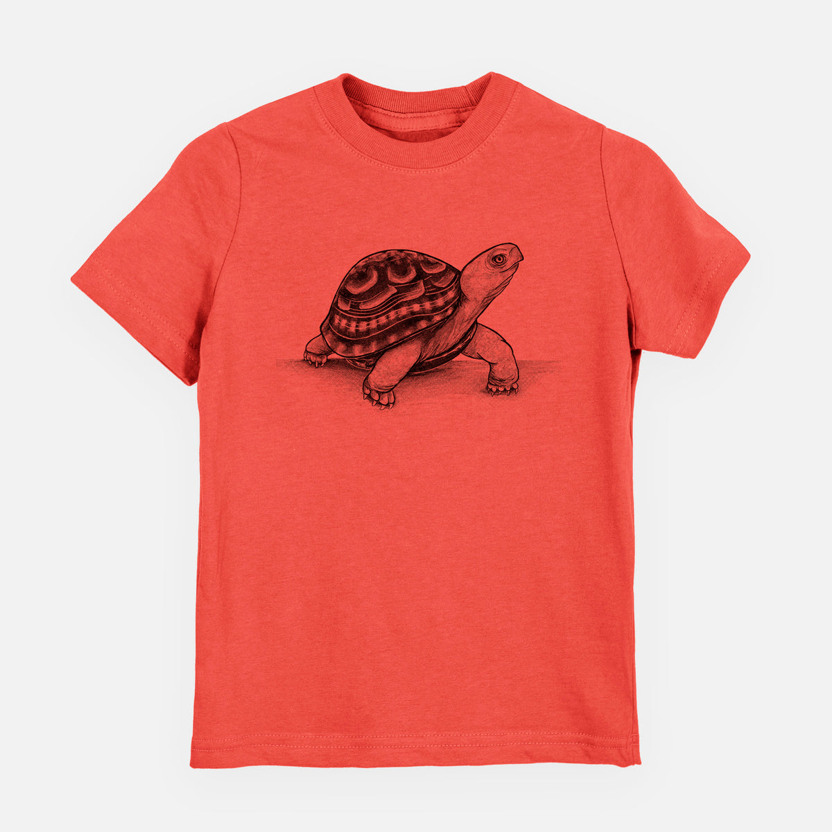 Common Box Turtle - Terrapene carolina - Toddler/Youth Shirt