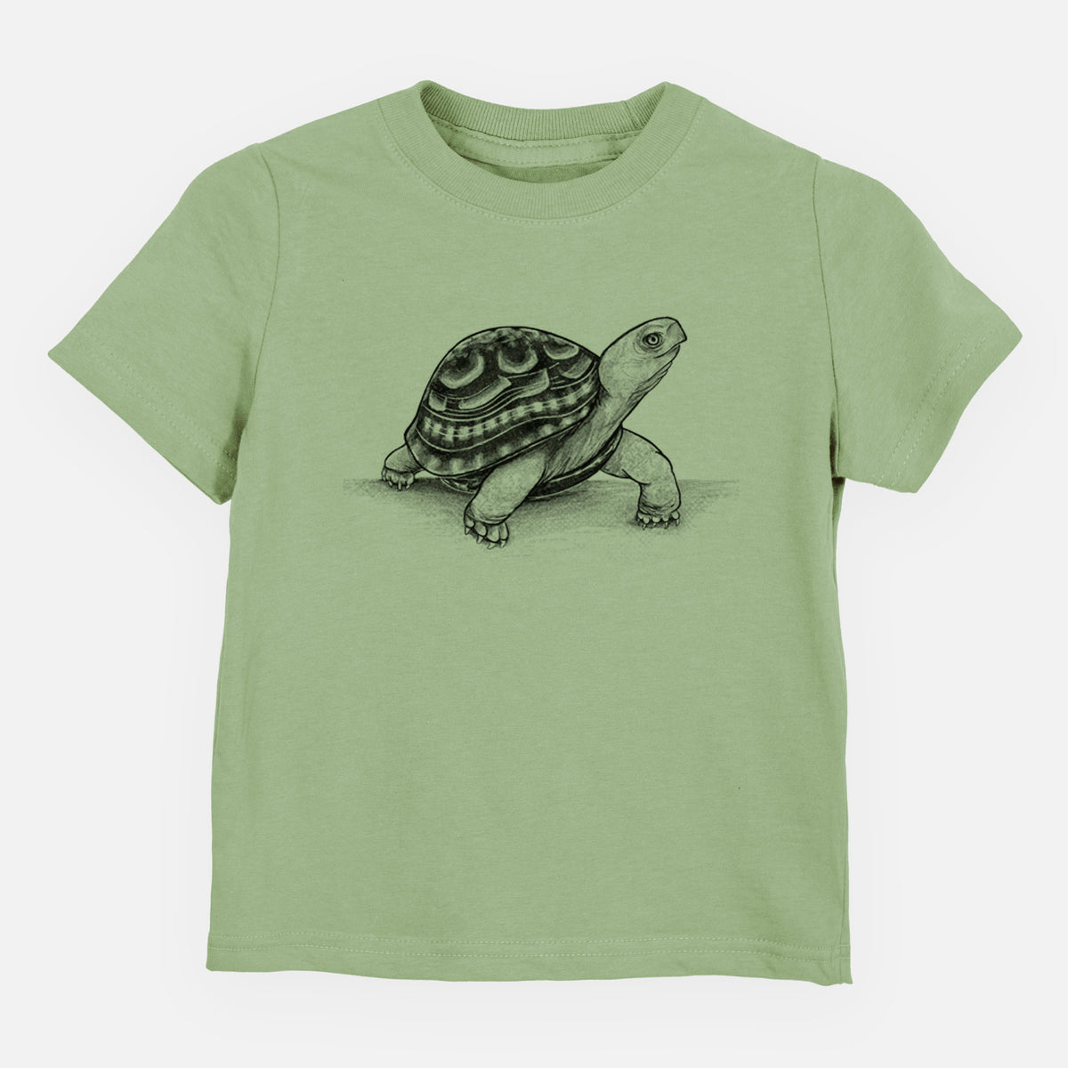Common Box Turtle - Terrapene carolina - Toddler/Youth Shirt