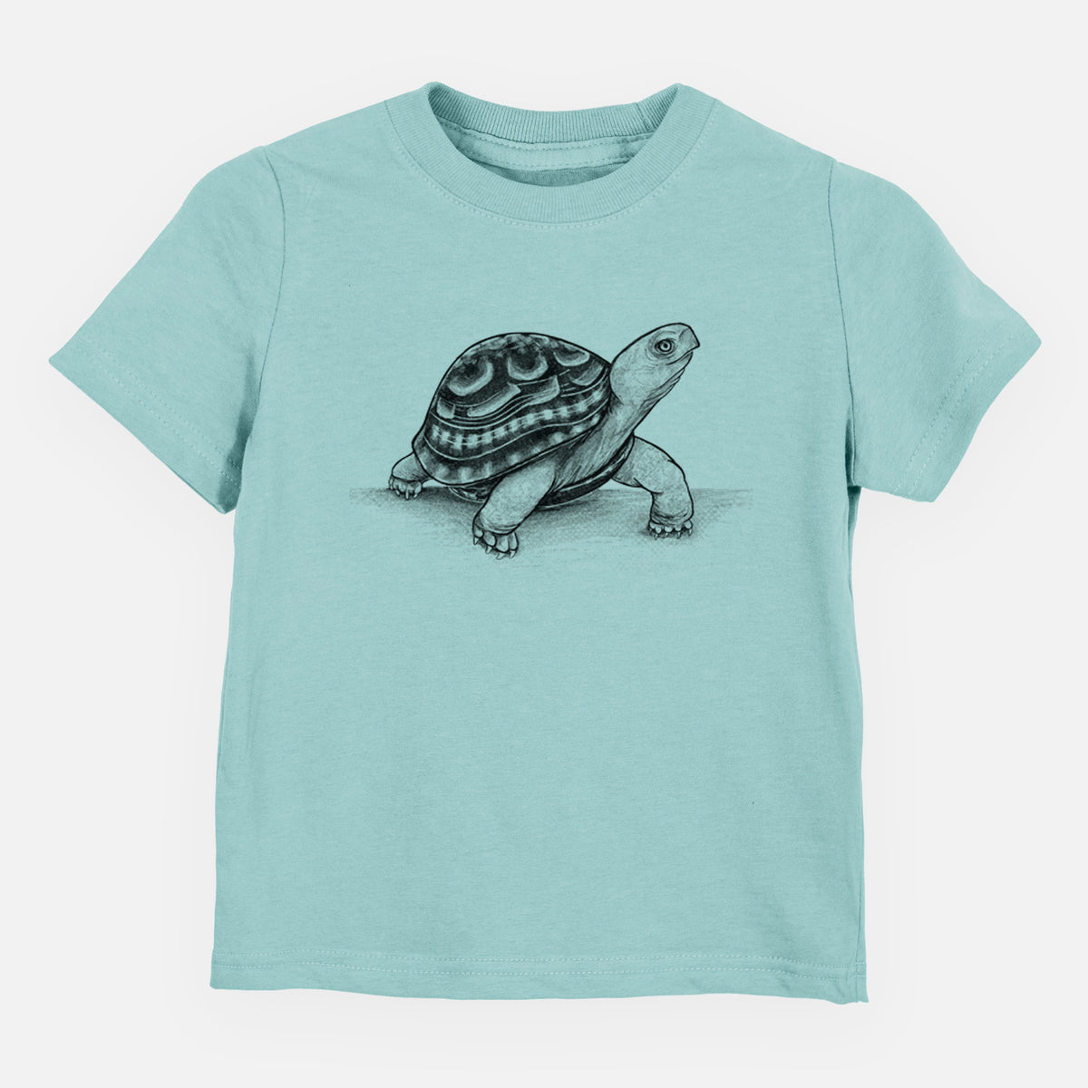 Common Box Turtle - Terrapene carolina - Toddler/Youth Shirt