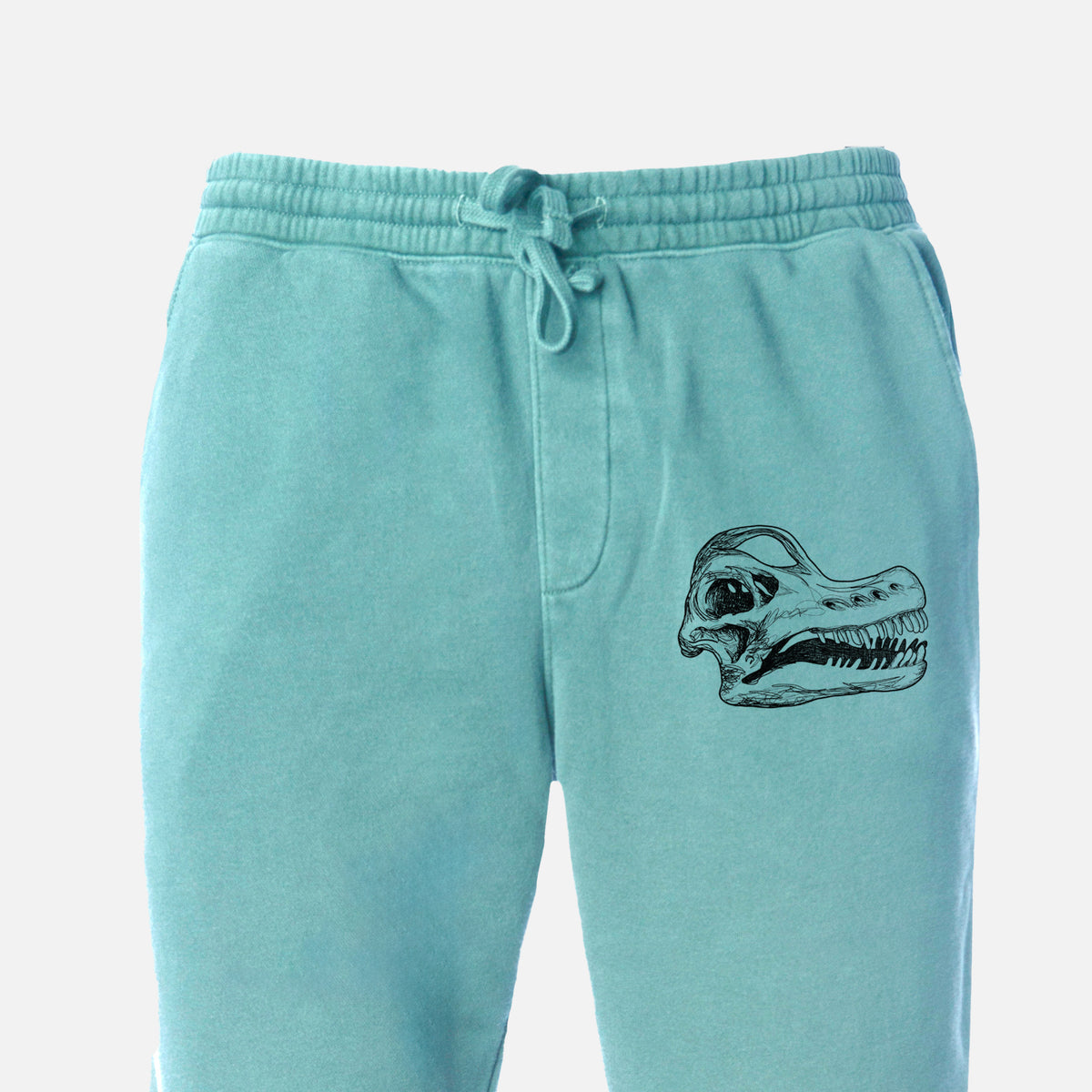 Brachiosaurus Skull - Unisex Pigment Dyed Sweatpants