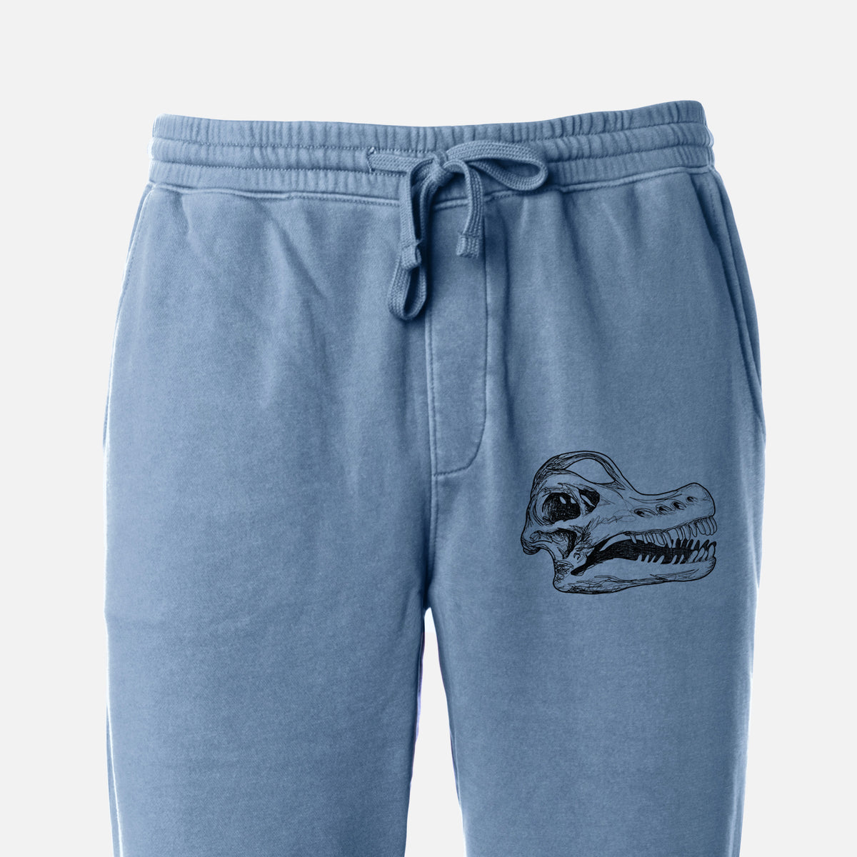 Brachiosaurus Skull - Unisex Pigment Dyed Sweatpants