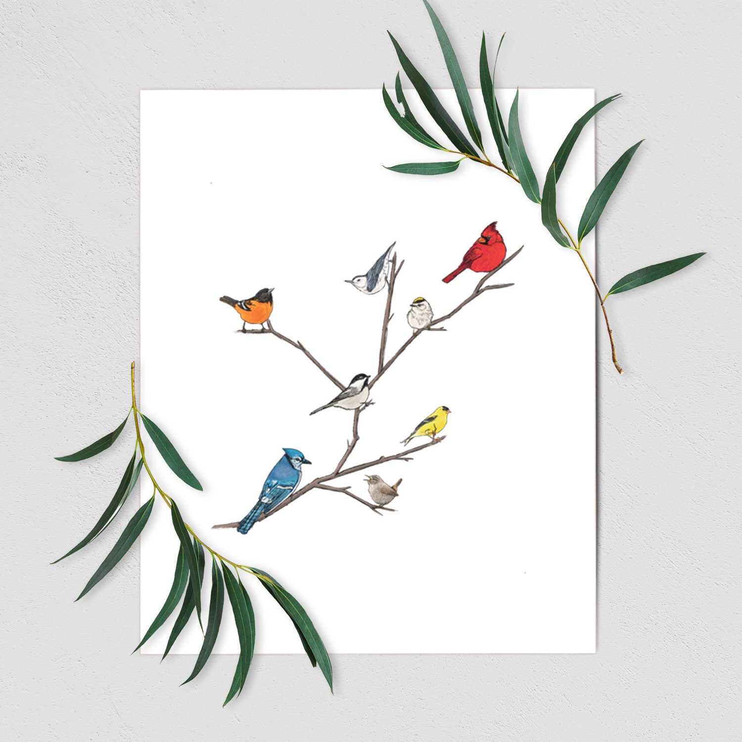 Backyard Birds Gathering - Fine Art Print