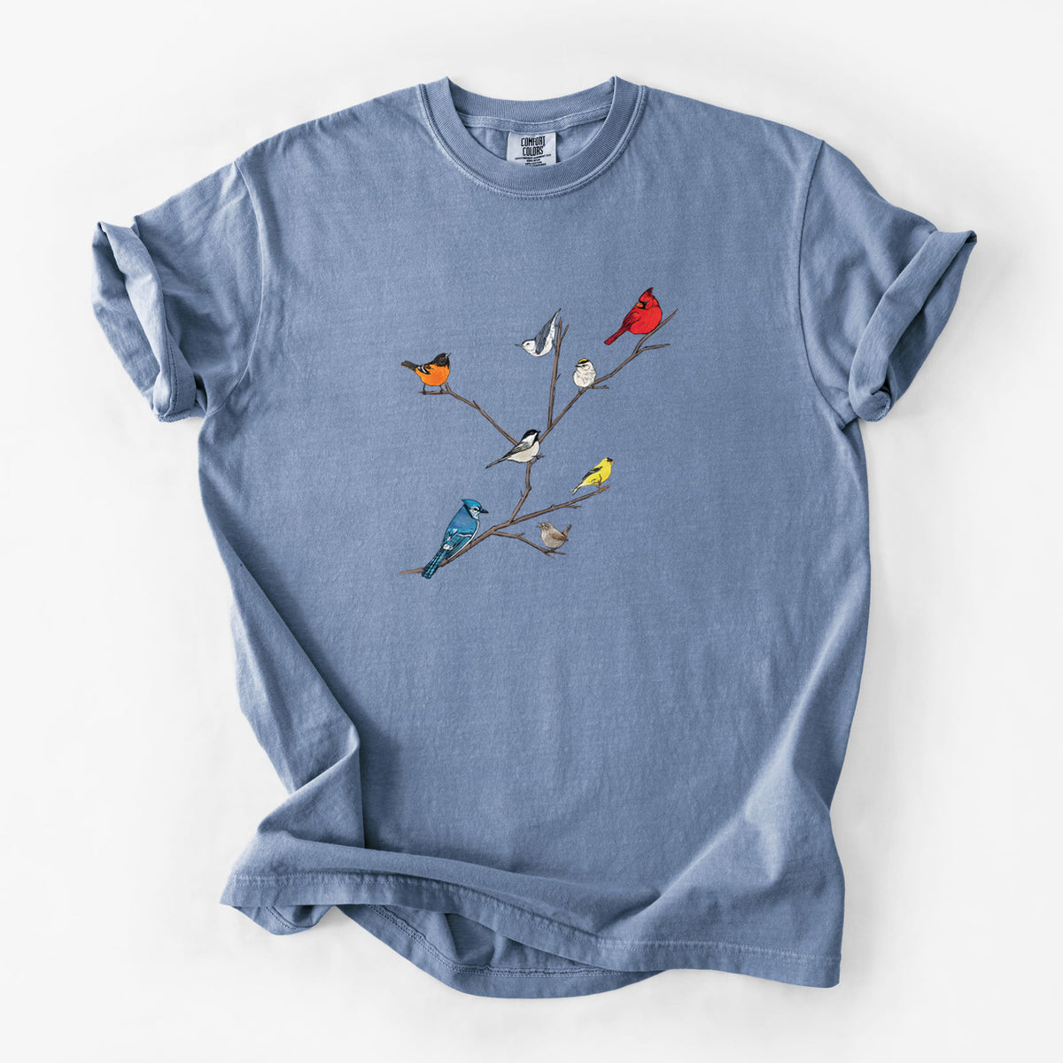 Backyard Birds Gathering - Unisex Comfort Colors Garment-Dyed Heavyweight T-shirt
