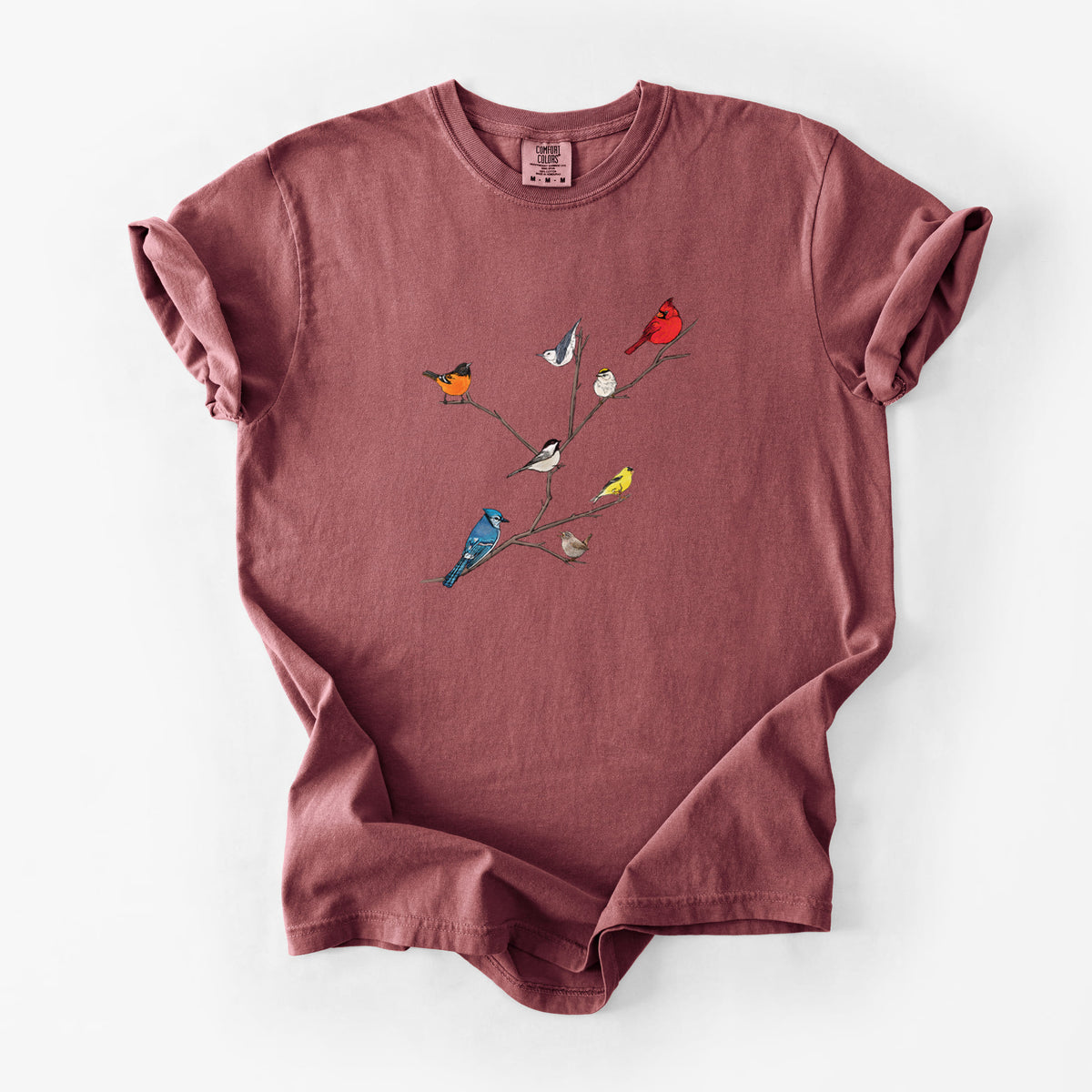 Backyard Birds Gathering - Unisex Comfort Colors Garment-Dyed Heavyweight T-shirt