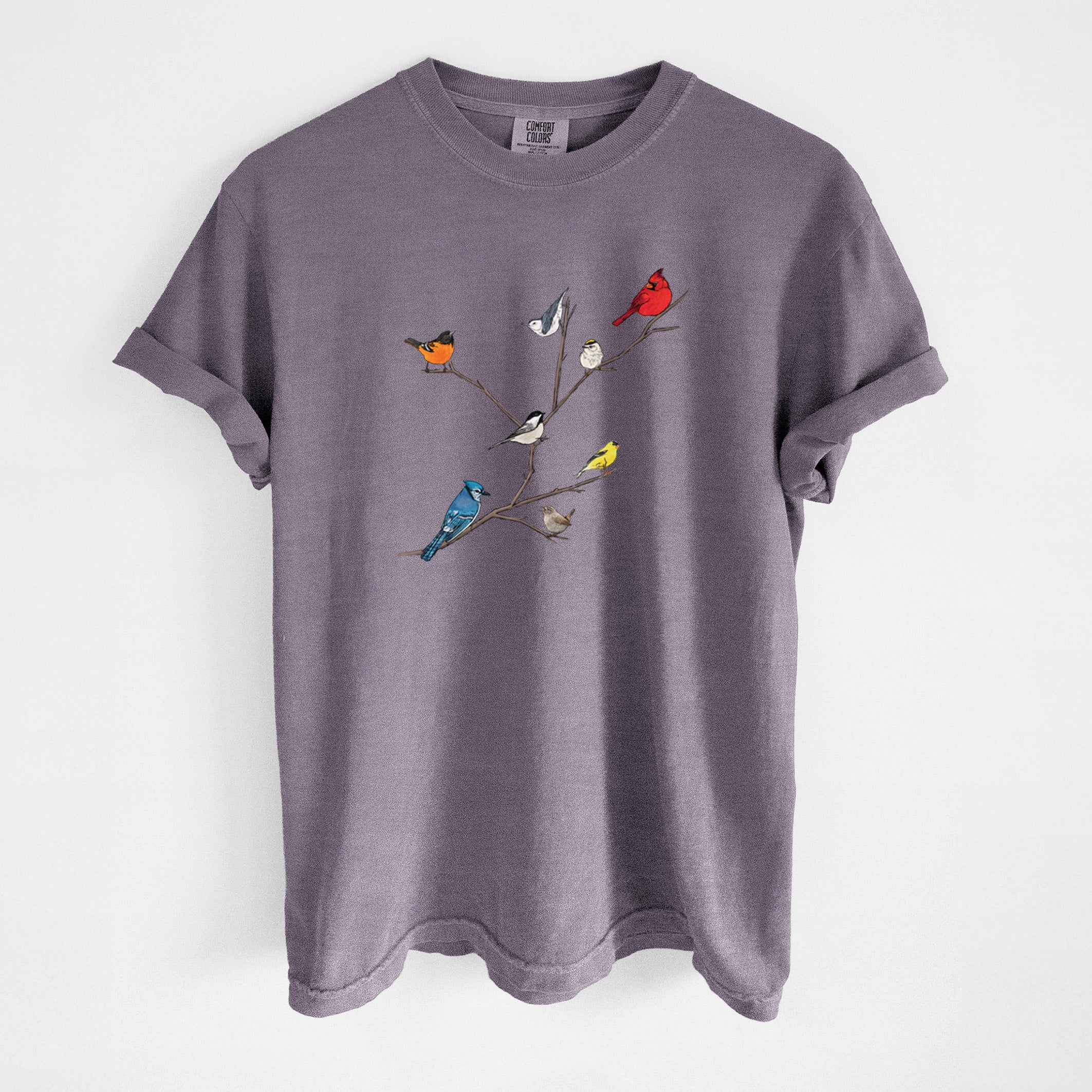 Backyard Birds Gathering - Unisex Comfort Colors Garment-Dyed Heavyweight T-shirt