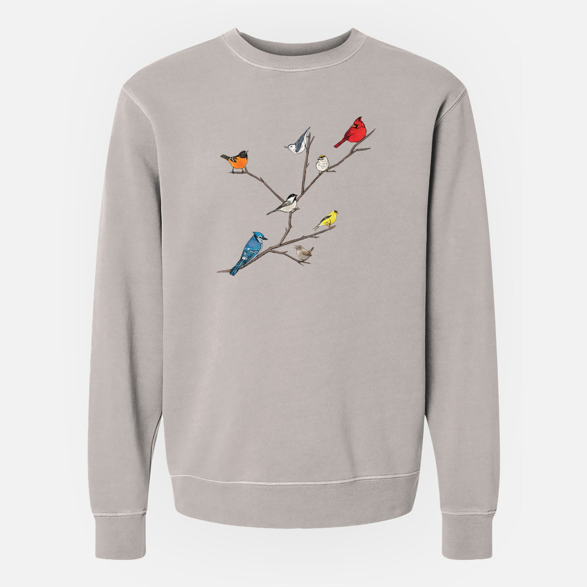 Backyard Birds Gathering - Unisex Pigment Dyed Crew Sweatshirt