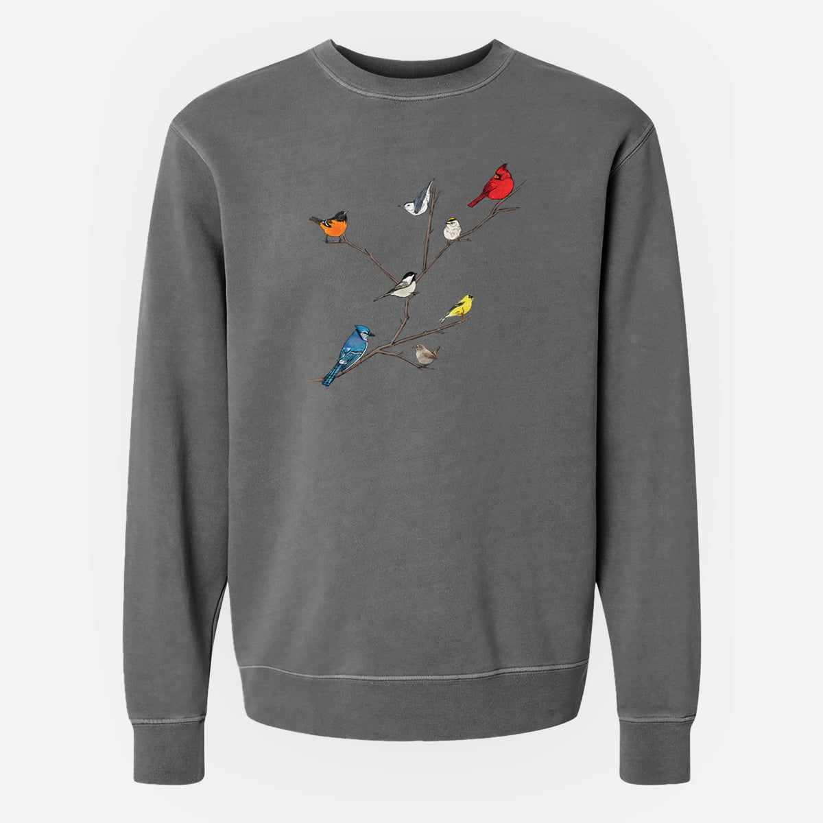 Backyard Birds Gathering - Unisex Pigment Dyed Crew Sweatshirt