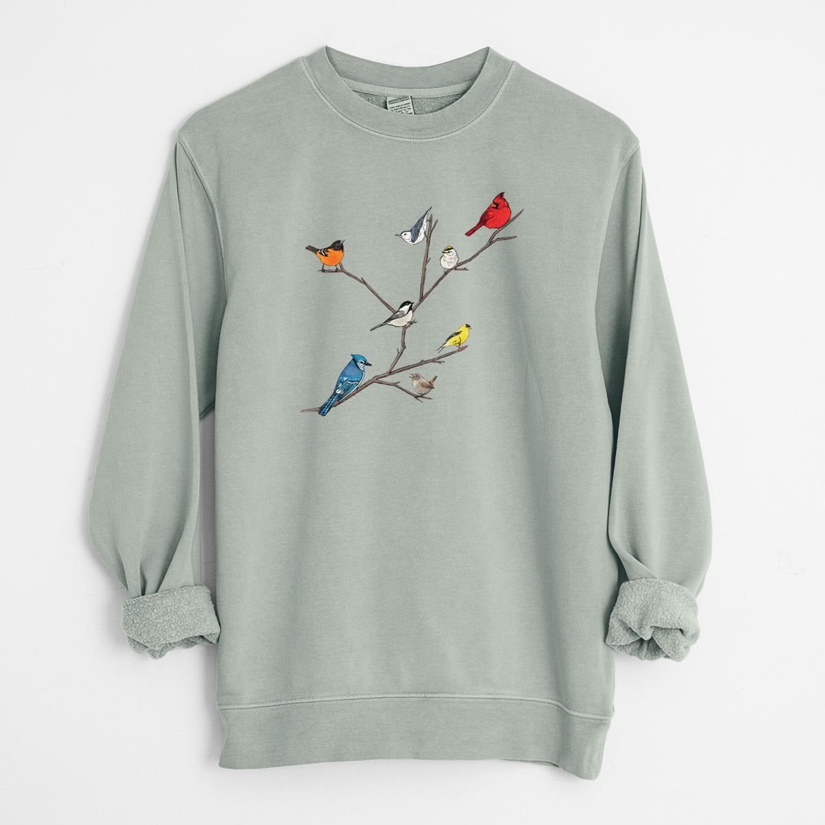Backyard Birds Gathering - Unisex Pigment Dyed Crew Sweatshirt