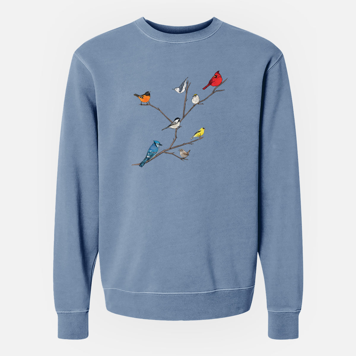 Backyard Birds Gathering - Unisex Pigment Dyed Crew Sweatshirt