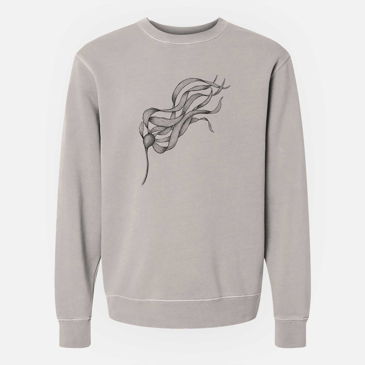 Bull Kelp - Nereocystis Luetkeana - Unisex Pigment Dyed Crew Sweatshirt