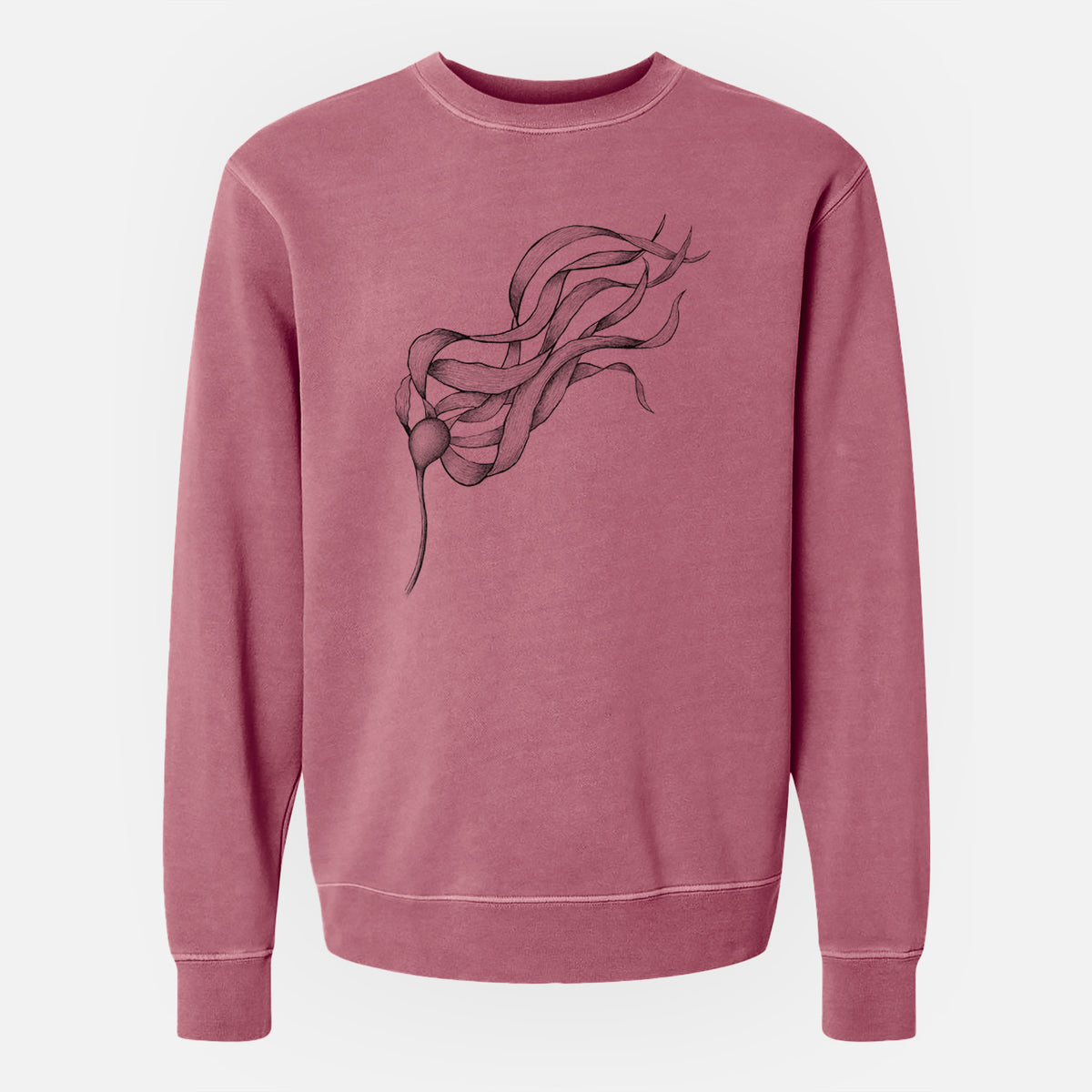 Bull Kelp - Nereocystis Luetkeana - Unisex Pigment Dyed Crew Sweatshirt