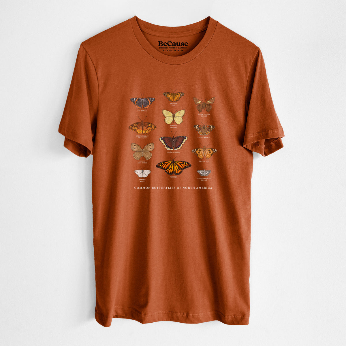 Common Butterflies of North America - Lightweight 100% Cotton Unisex Crewneck