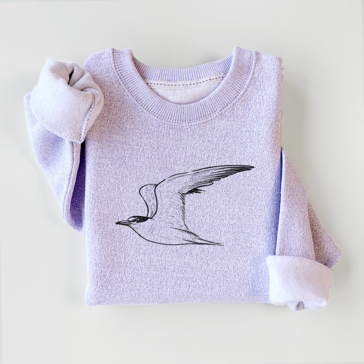 California Least Tern - Sterna antillarum browni - Knit Sweatshirt