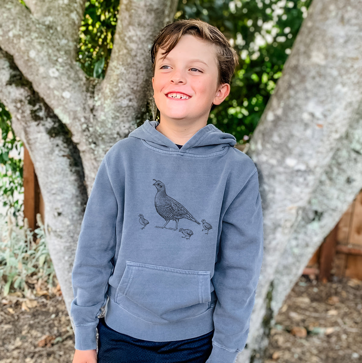 California Quail with Babies - Callipepla californica - Youth Pigment Dyed Hoodie