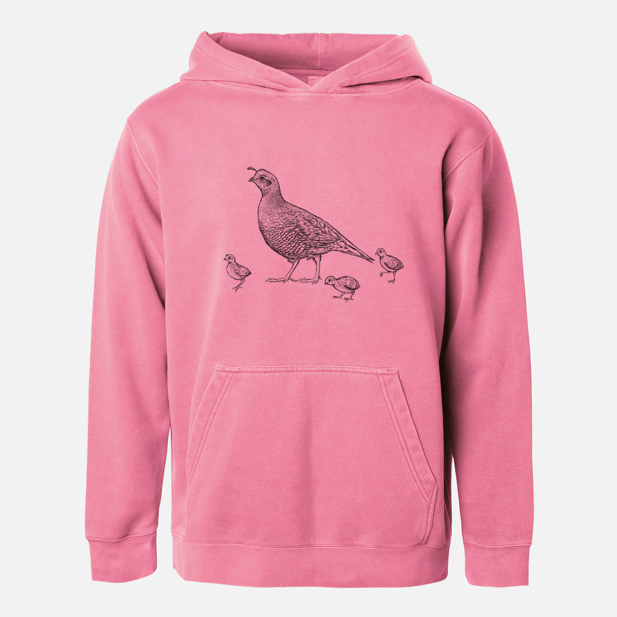 California Quail with Babies - Callipepla californica - Youth Pigment Dyed Hoodie