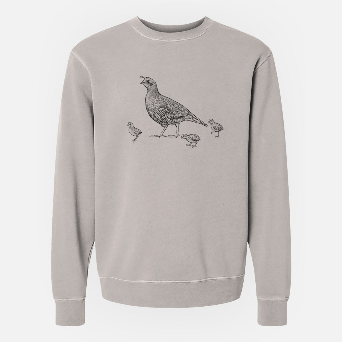 California Quail with Babies - Callipepla californica - Unisex Pigment Dyed Crew Sweatshirt