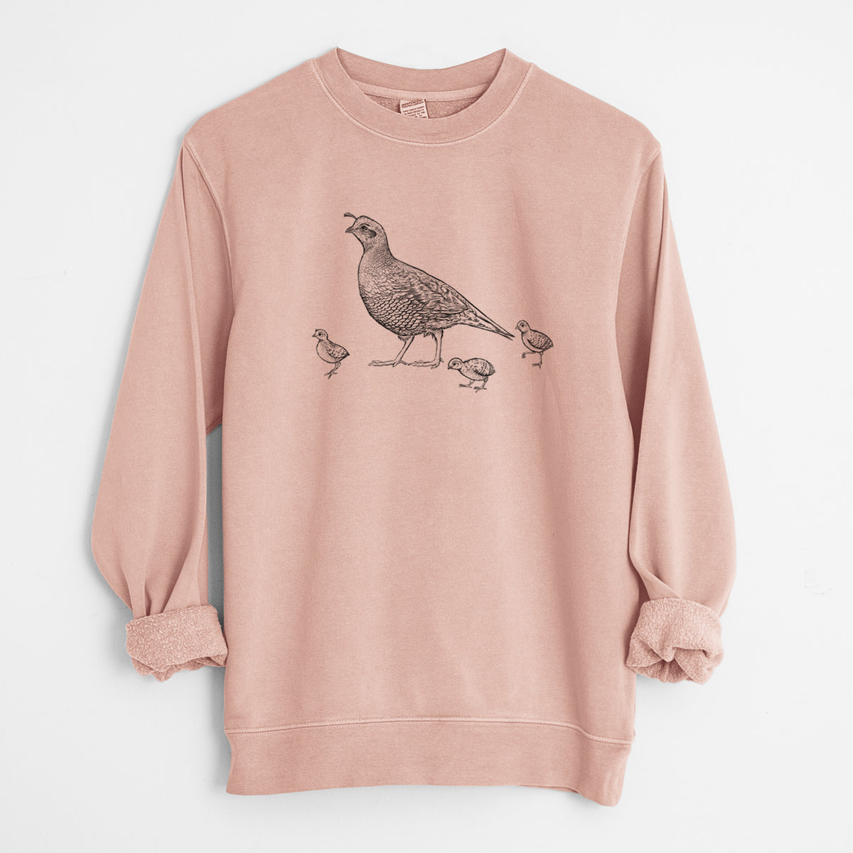 California Quail with Babies - Callipepla californica - Unisex Pigment Dyed Crew Sweatshirt