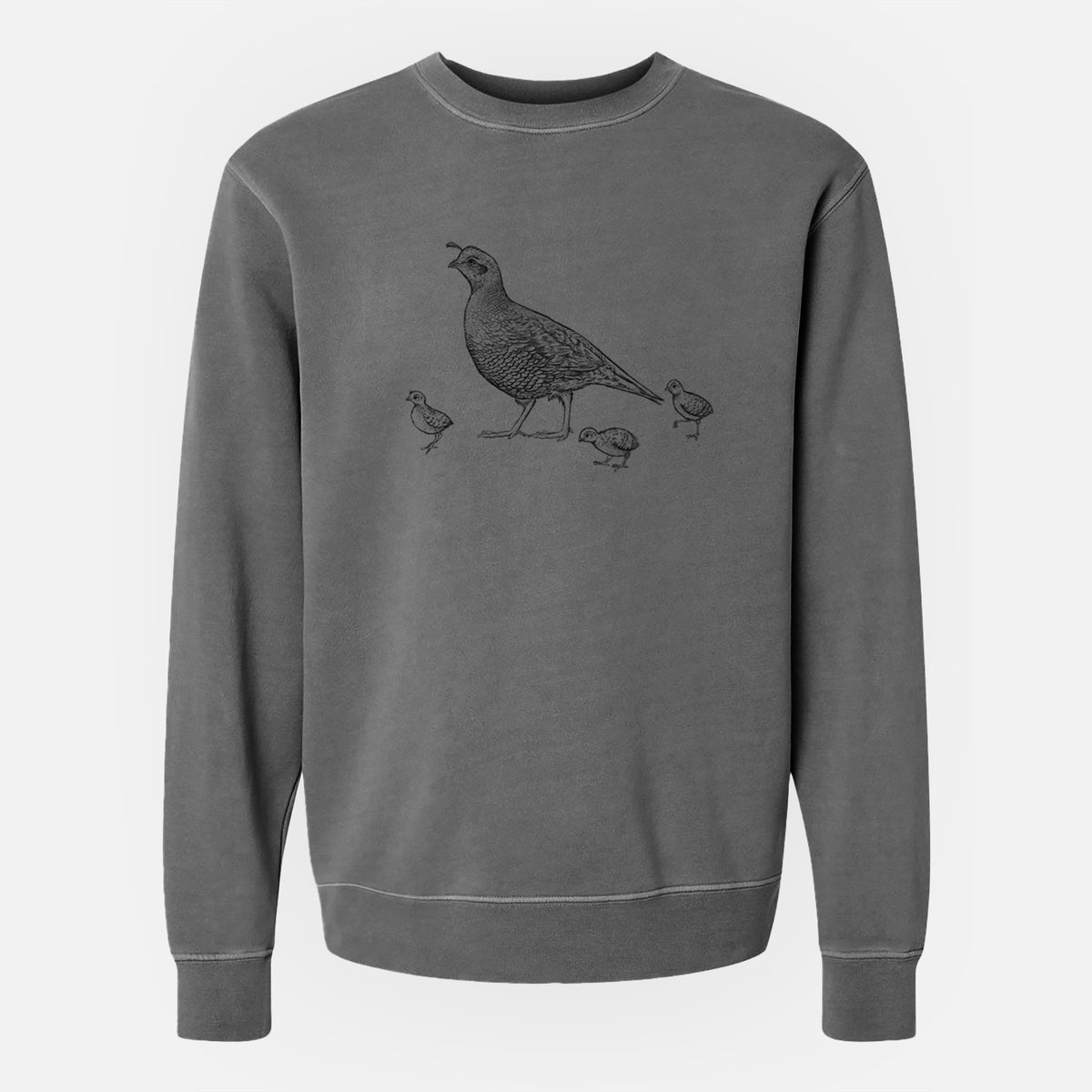 California Quail with Babies - Callipepla californica - Unisex Pigment Dyed Crew Sweatshirt