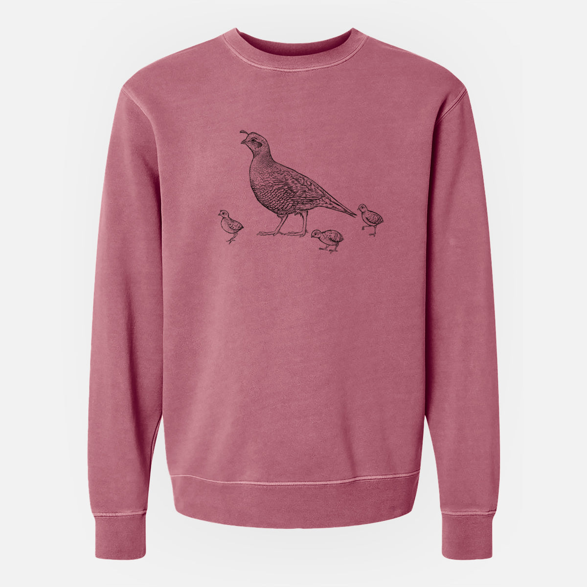 California Quail with Babies - Callipepla californica - Unisex Pigment Dyed Crew Sweatshirt