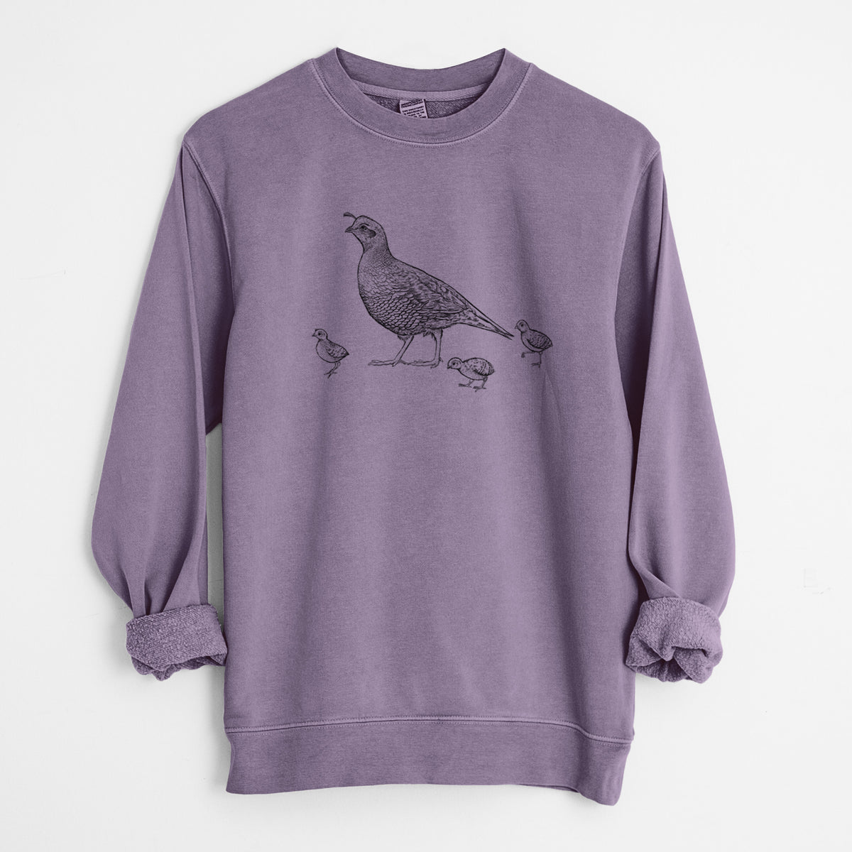 California Quail with Babies - Callipepla californica - Unisex Pigment Dyed Crew Sweatshirt