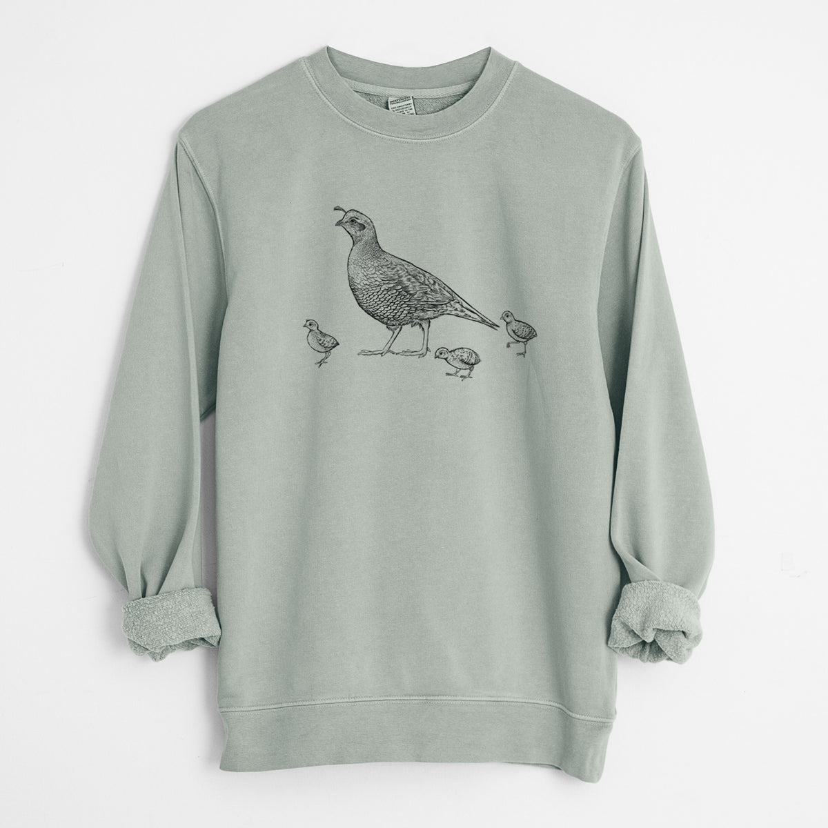 California Quail with Babies - Callipepla californica - Unisex Pigment Dyed Crew Sweatshirt