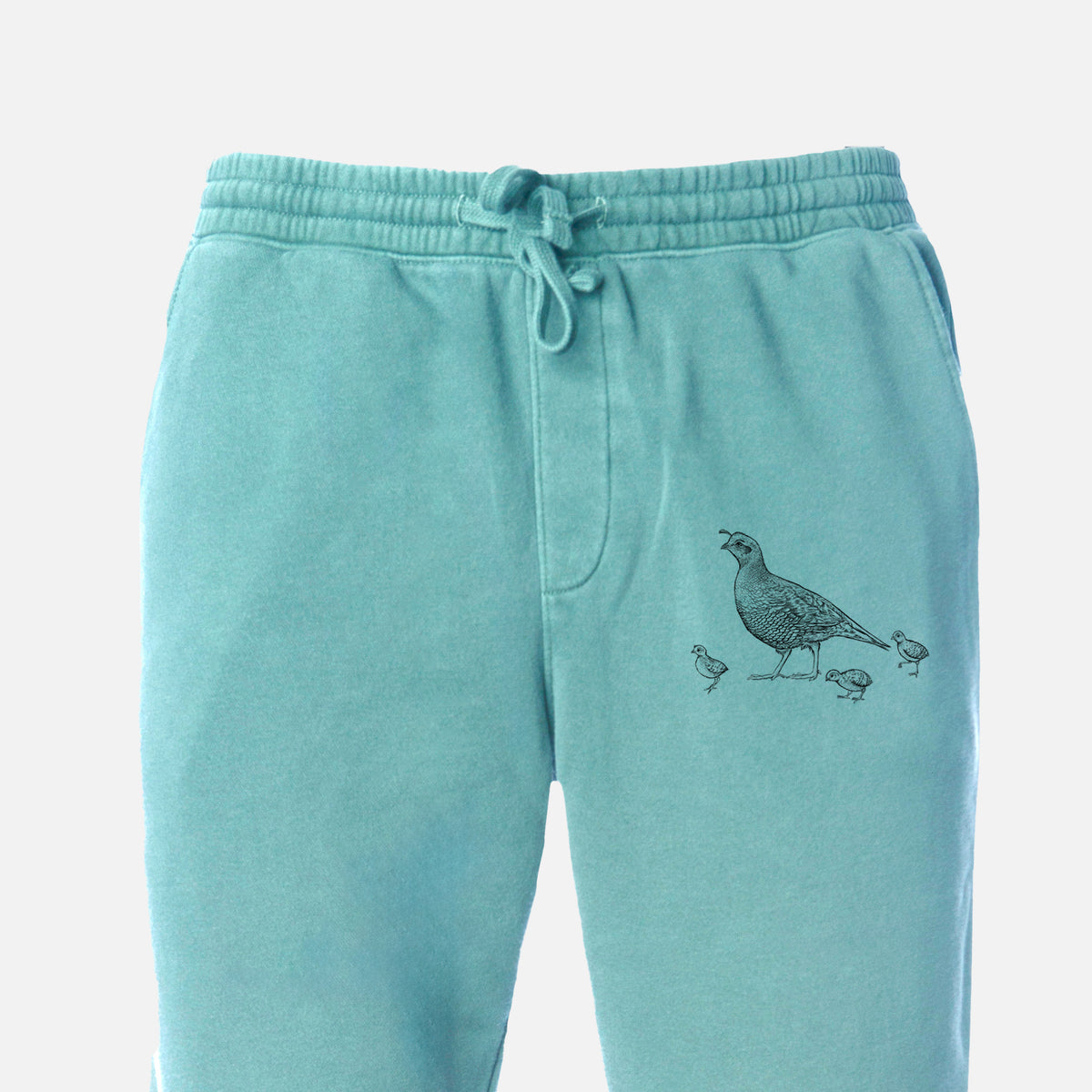 California Quail with Babies - Callipepla californica - Unisex Pigment Dyed Sweatpants