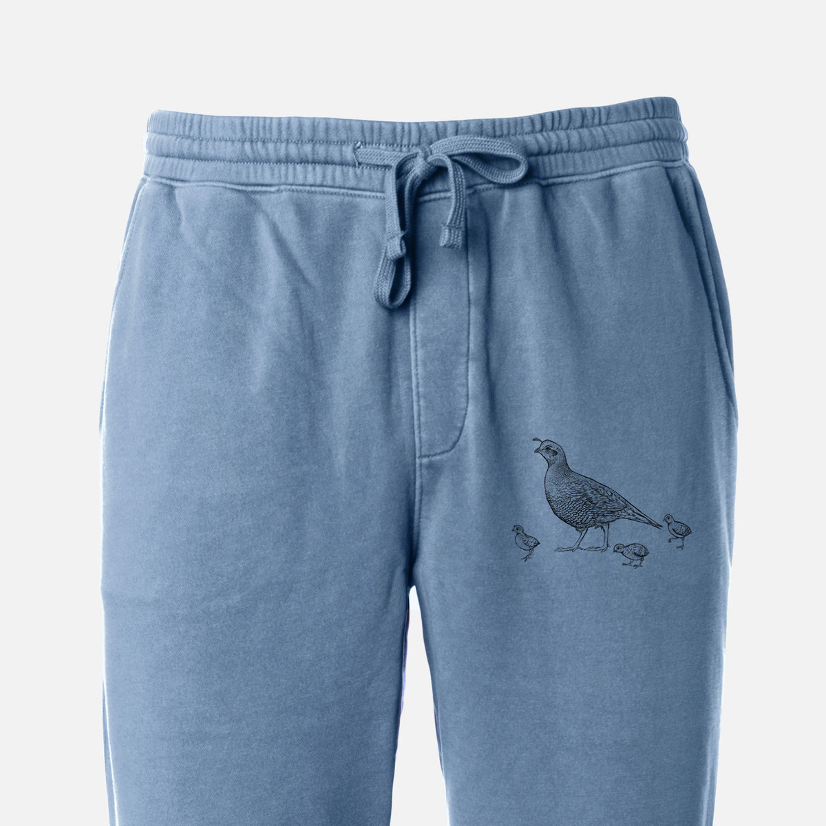 California Quail with Babies - Callipepla californica - Unisex Pigment Dyed Sweatpants