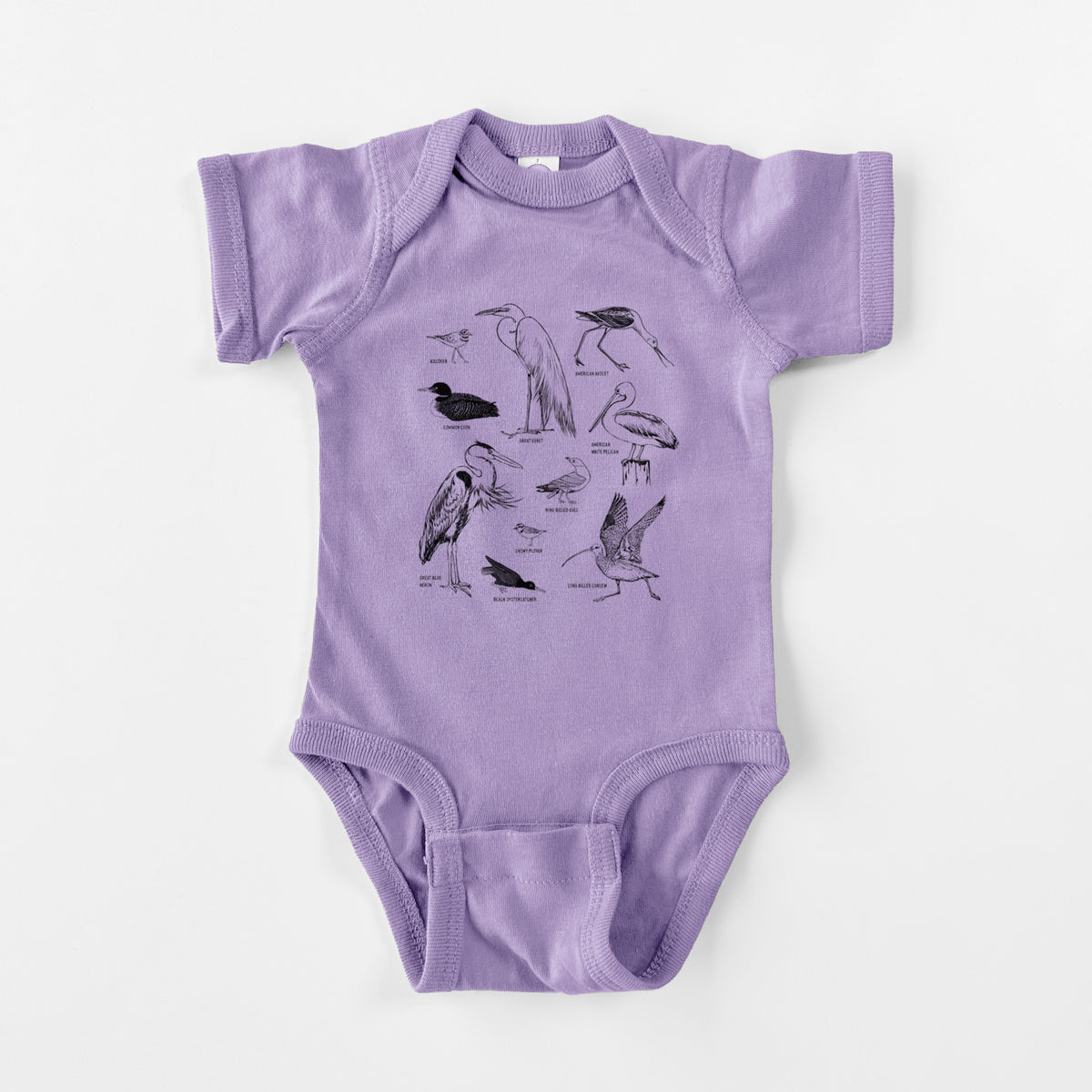 California Shorebirds - Baby Fine Jersey Bodysuit