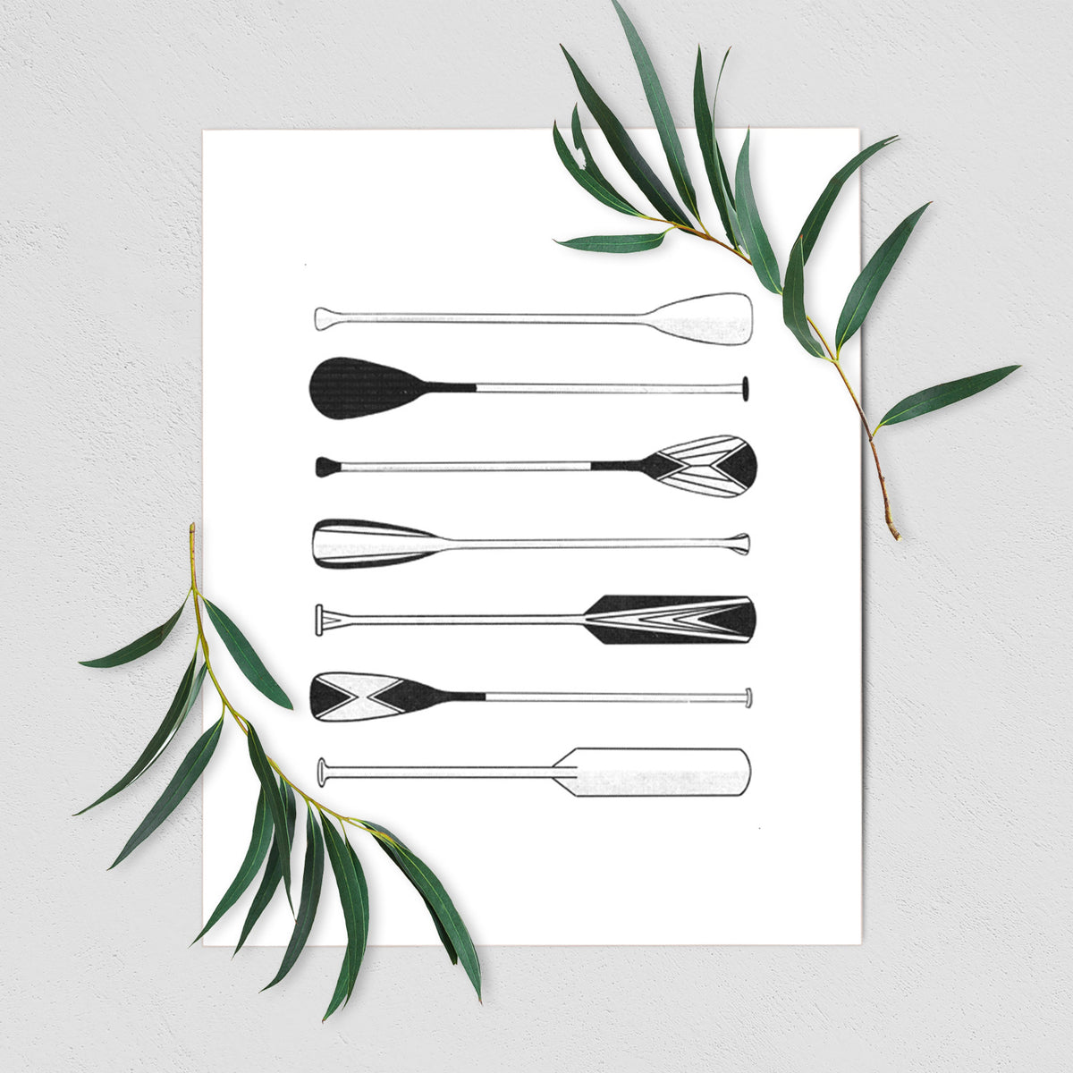 Canoe Paddles - Fine Art Print