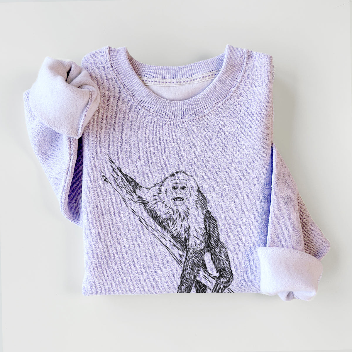 Capuchin Monkey - Cebus imitator - Knit Sweatshirt