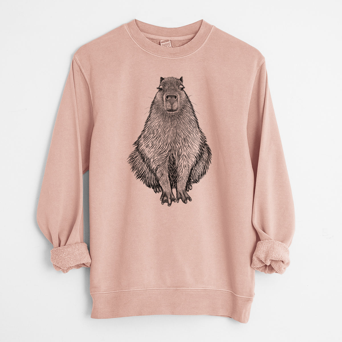 Capybara - Hydrochoerus hydrochaeris - Unisex Pigment Dyed Crew Sweatshirt