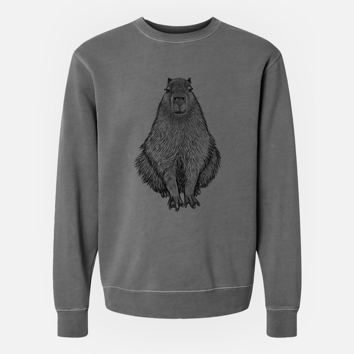 Capybara - Hydrochoerus hydrochaeris - Unisex Pigment Dyed Crew Sweatshirt