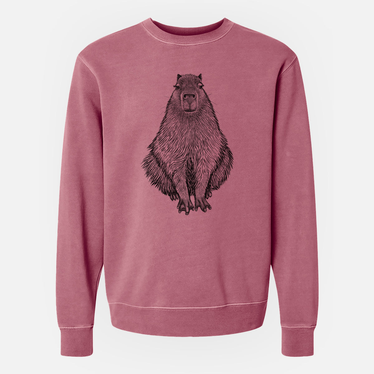 Capybara - Hydrochoerus hydrochaeris - Unisex Pigment Dyed Crew Sweatshirt