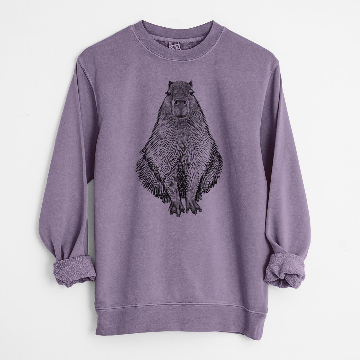 Capybara - Hydrochoerus hydrochaeris - Unisex Pigment Dyed Crew Sweatshirt