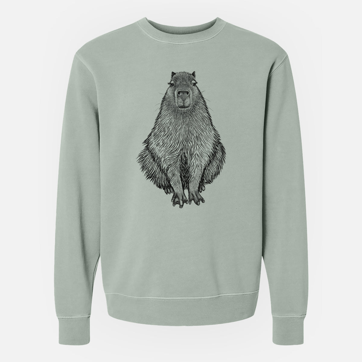 Capybara - Hydrochoerus hydrochaeris - Unisex Pigment Dyed Crew Sweatshirt