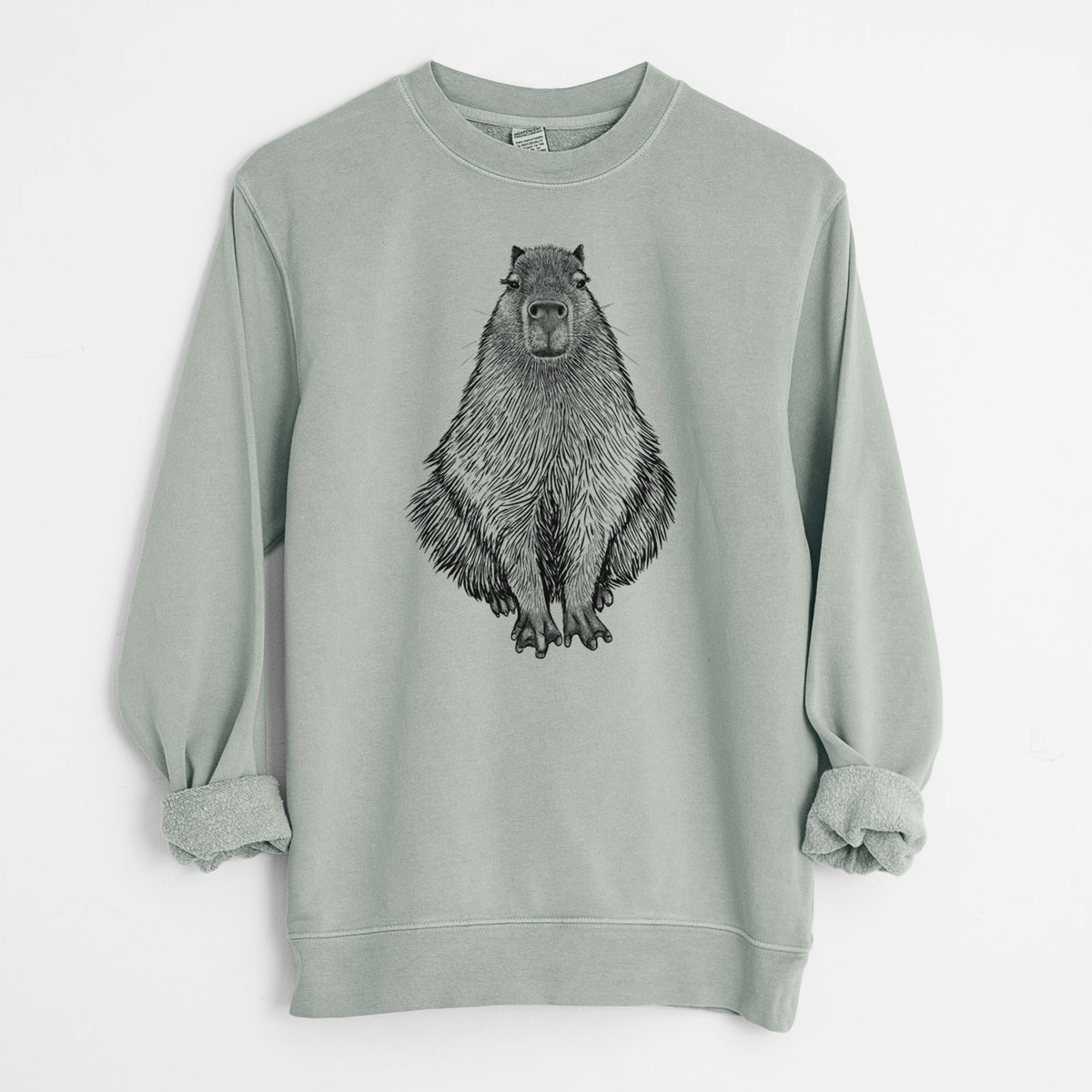 Capybara - Hydrochoerus hydrochaeris - Unisex Pigment Dyed Crew Sweatshirt