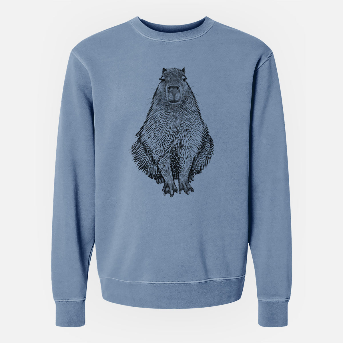 Capybara - Hydrochoerus hydrochaeris - Unisex Pigment Dyed Crew Sweatshirt