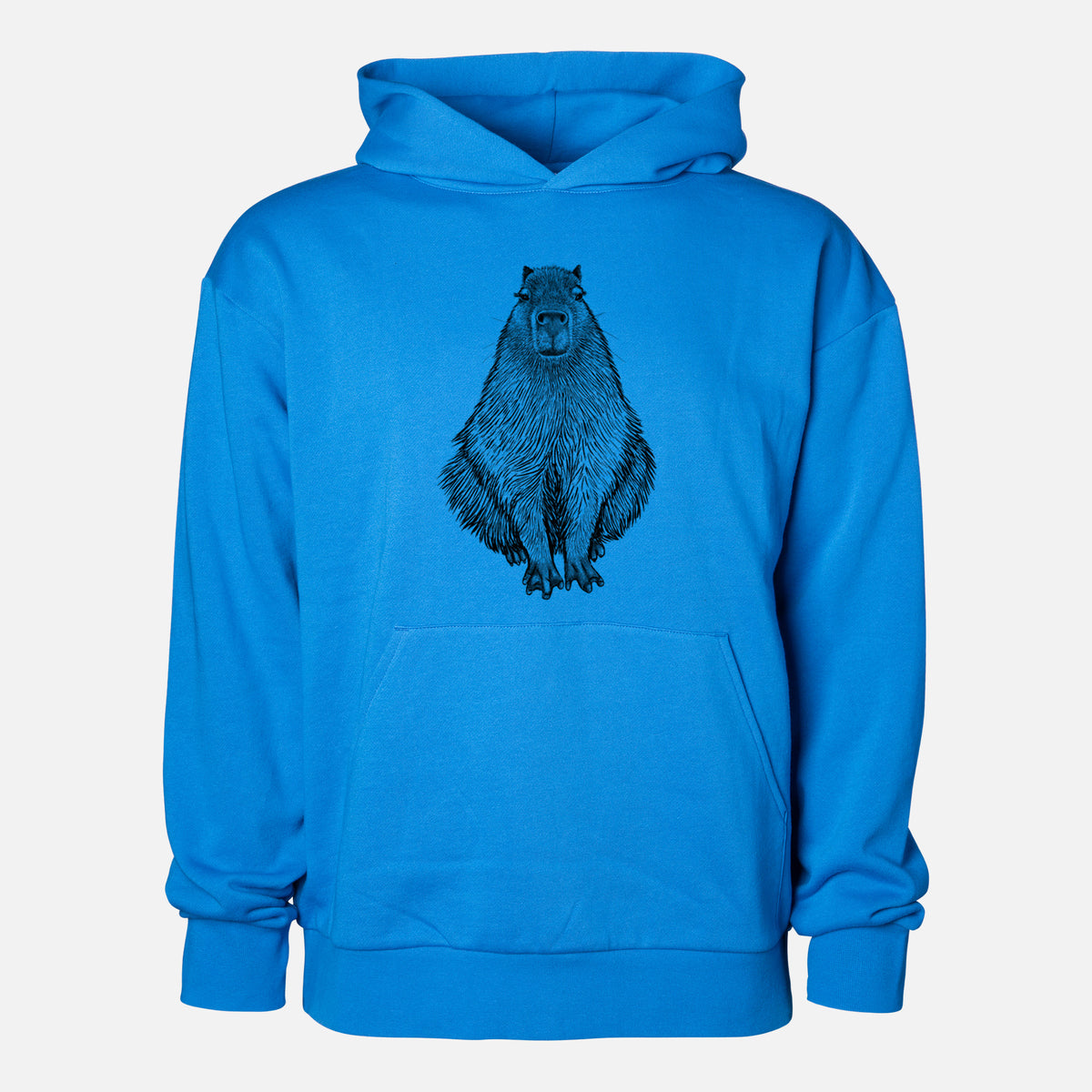 Capybara - Hydrochoerus hydrochaeris - Statement Midweight Hoodie in Azure Blue, shown from the front with the design printed on the chest above a front kangaroo pocket.