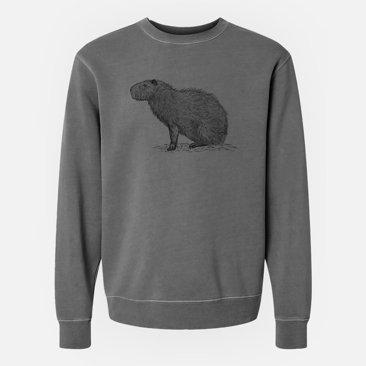 Capybara Profile - Hydrochoerus hydrochaeris - Unisex Pigment Dyed Crew Sweatshirt