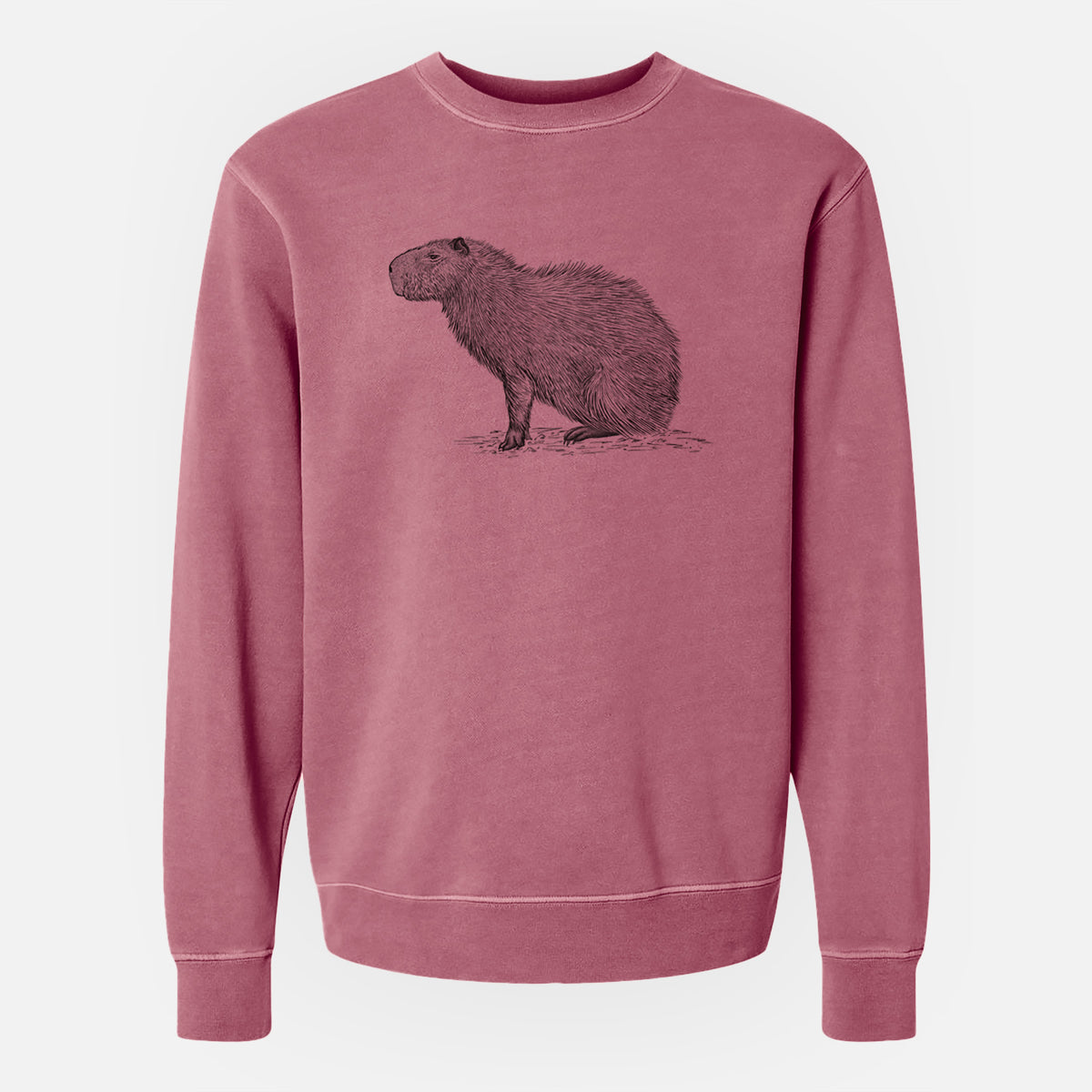 Capybara Profile - Hydrochoerus hydrochaeris - Unisex Pigment Dyed Crew Sweatshirt