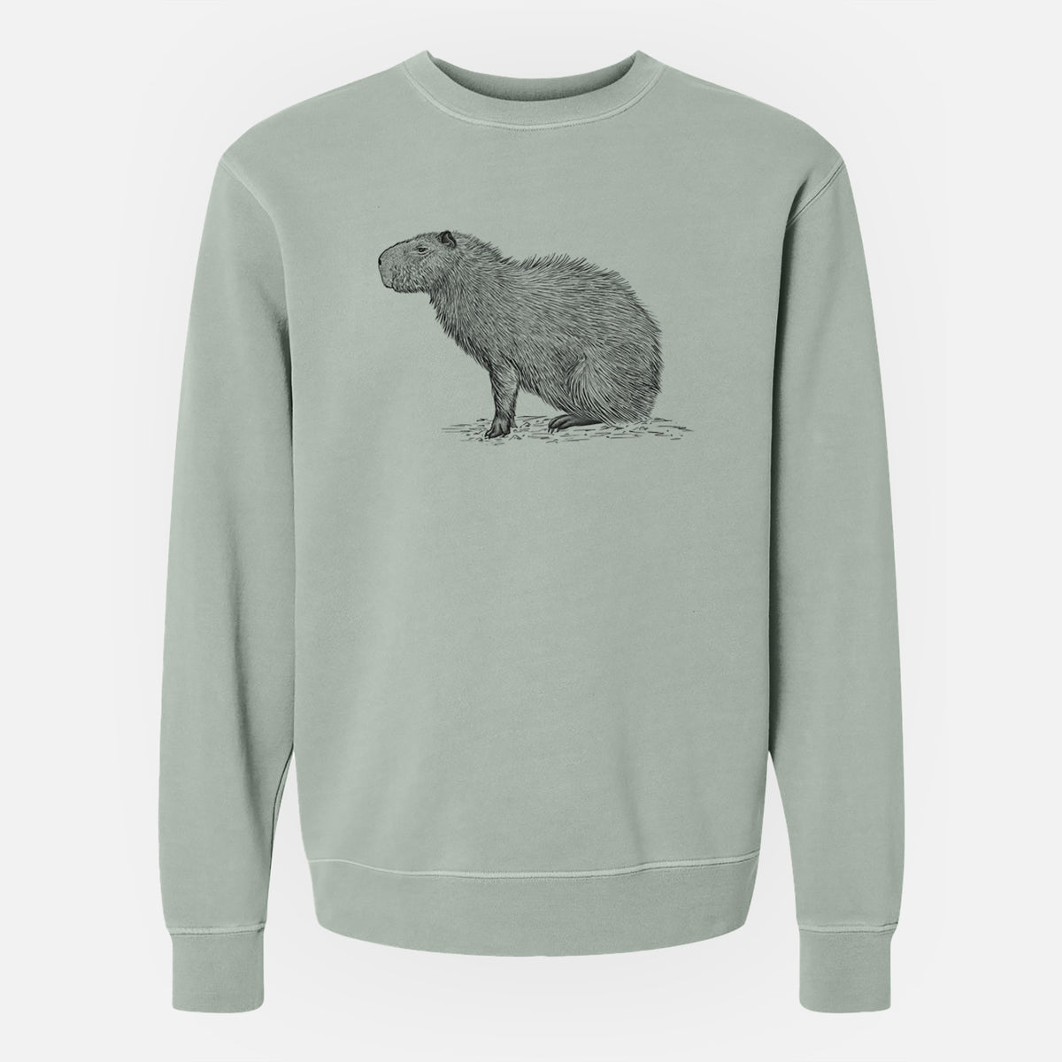 Capybara Profile - Hydrochoerus hydrochaeris - Unisex Pigment Dyed Crew Sweatshirt