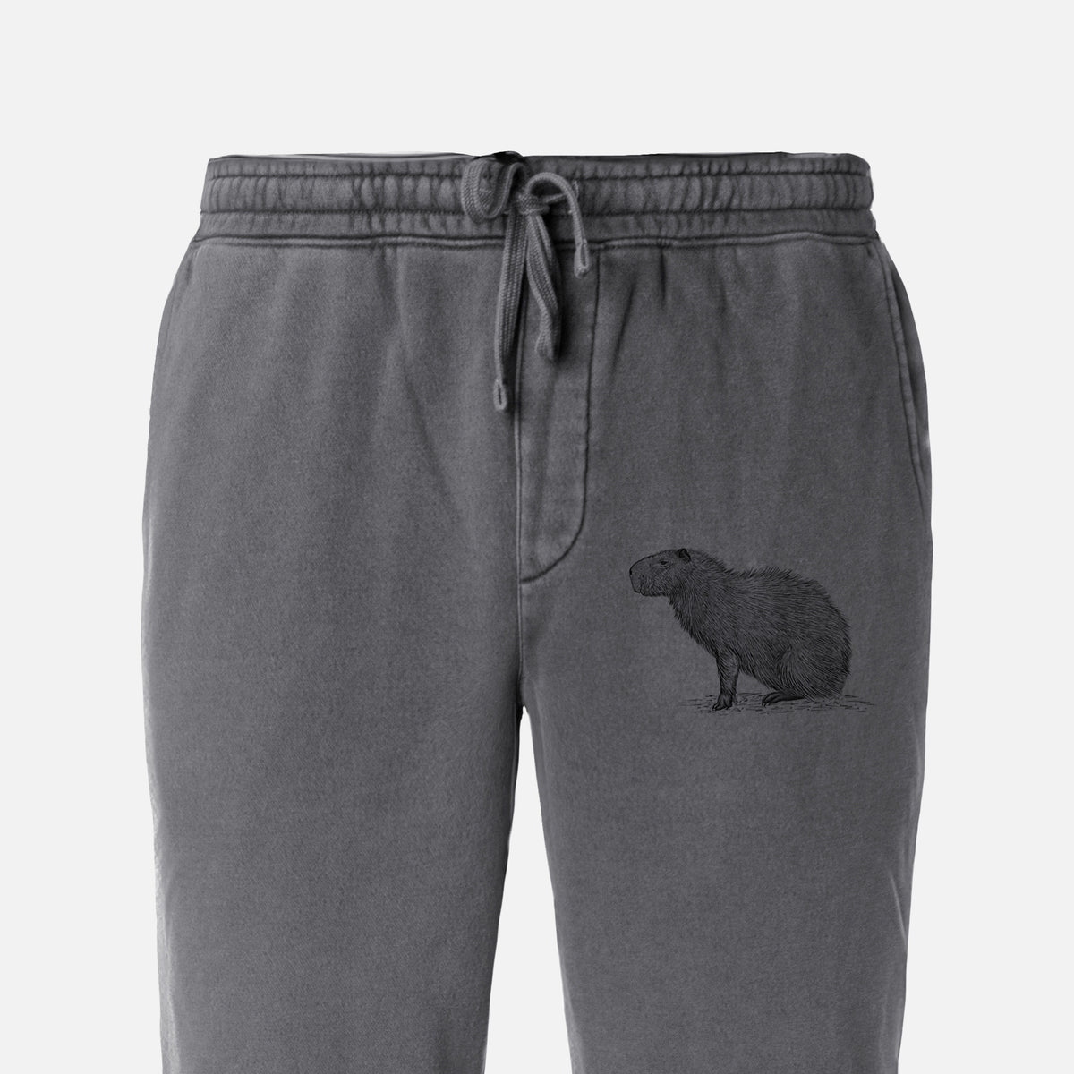 Capybara Profile - Hydrochoerus hydrochaeris - Unisex Pigment Dyed Sweatpants