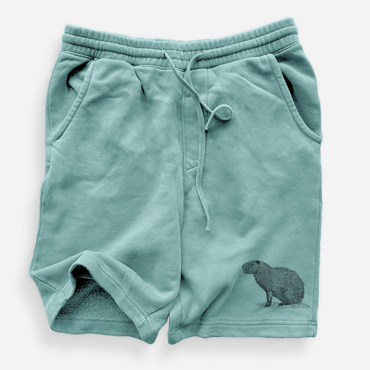 Capybara Profile - Hydrochoerus hydrochaeris - Unisex Pigment Dyed Shorts