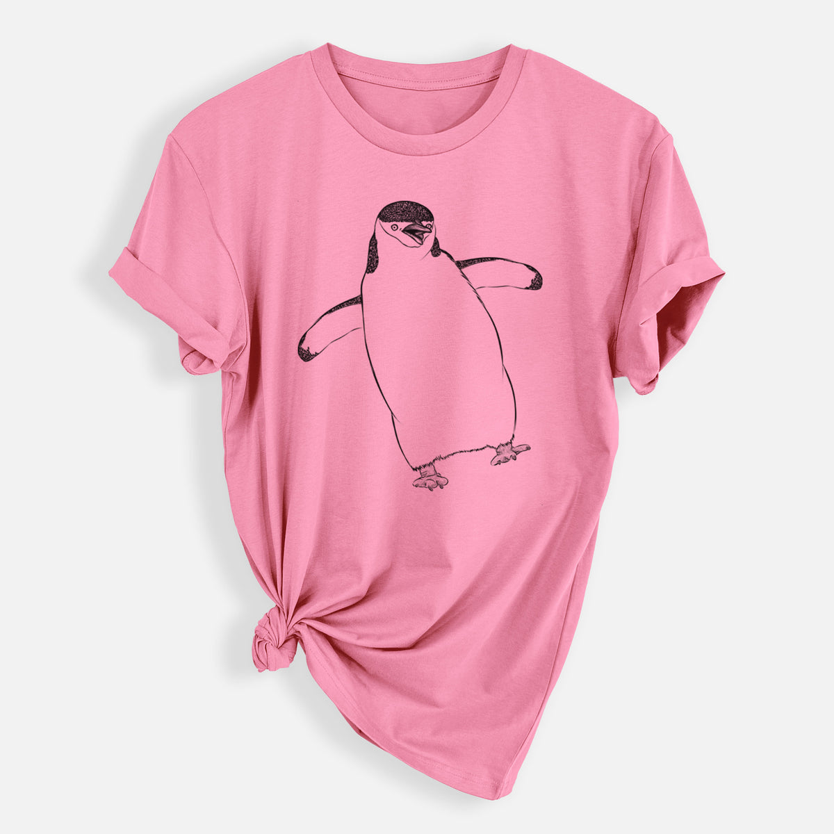 Chinstrap Penguin - Pygoscelis antarcticus - Mens Everyday Staple Tee