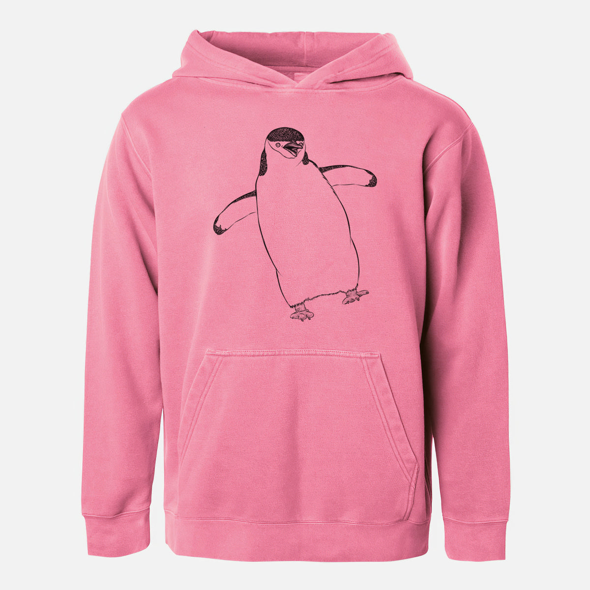 Chinstrap Penguin - Pygoscelis antarcticus - Youth Pigment Dyed Hoodie