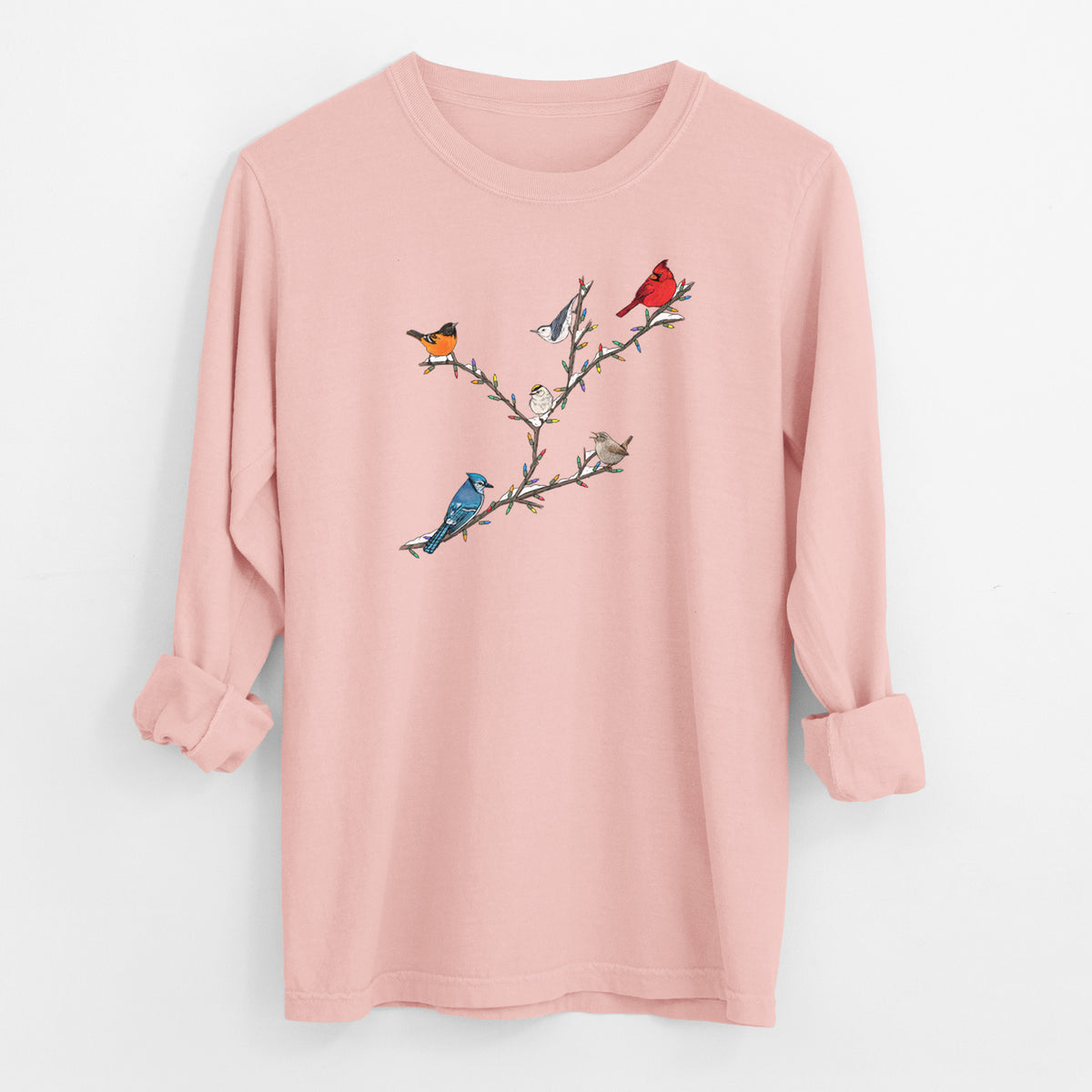 Christmas Backyard Birds - Men&#39;s Heavyweight 100% Cotton Long Sleeve