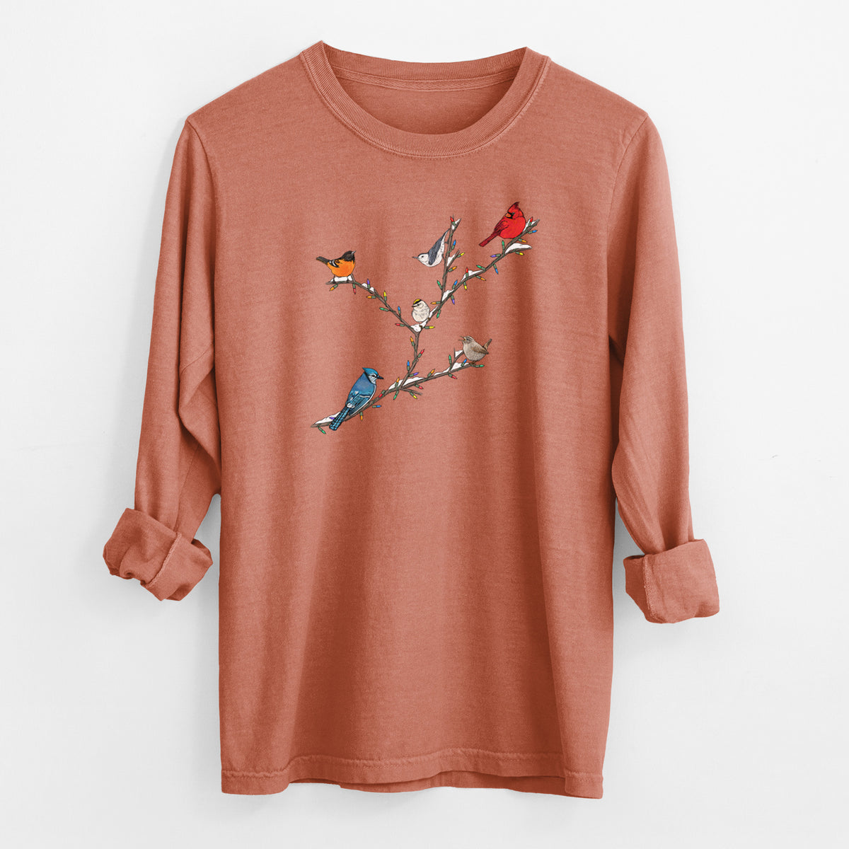 Christmas Backyard Birds - Men&#39;s Heavyweight 100% Cotton Long Sleeve